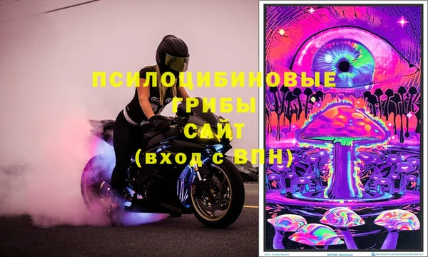 тгк Лиски