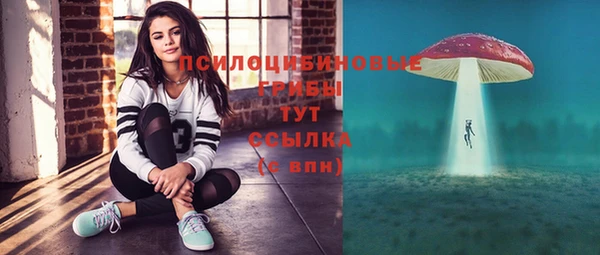 тгк Лиски
